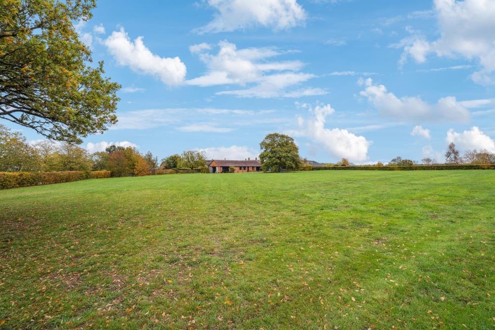 DSC06816-e9edc1cc7846ed2ba97b359a0e8ad2f6 - 800px.