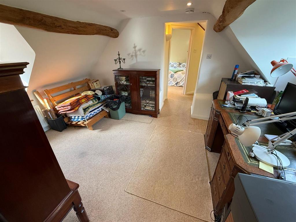 Study Area