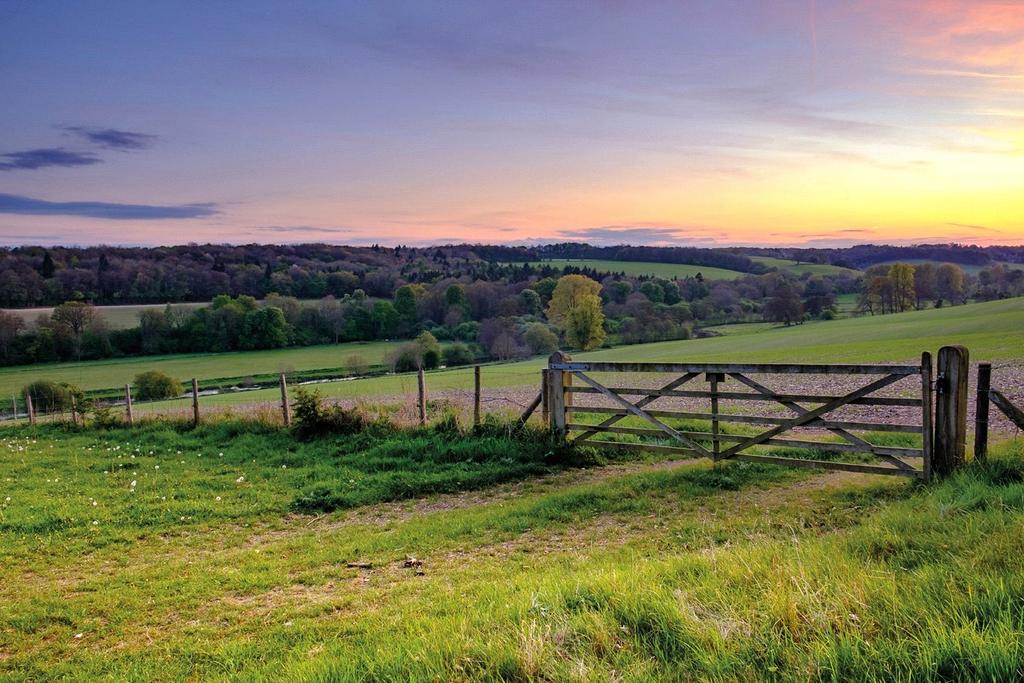 Local Scenery