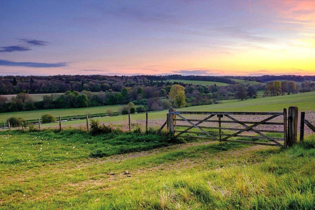 Countryside Views