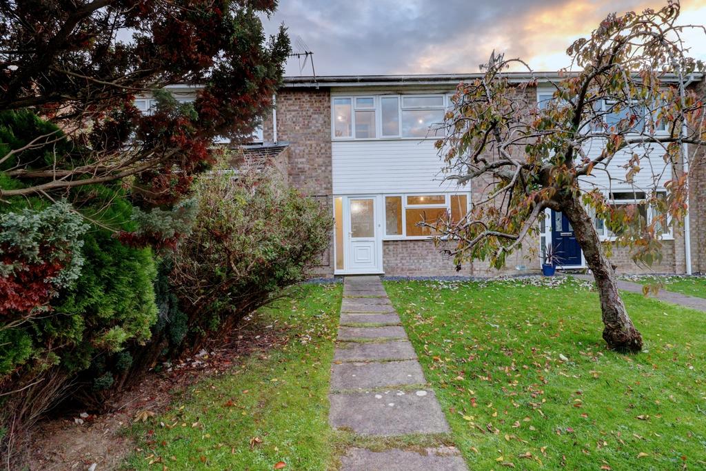 Picture No. 19