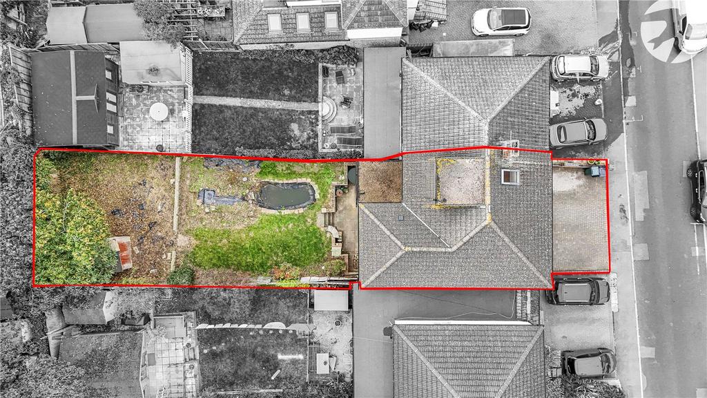 Plot View