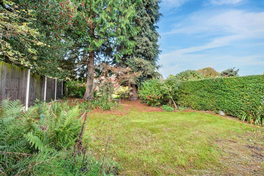 Garden 5.jpeg