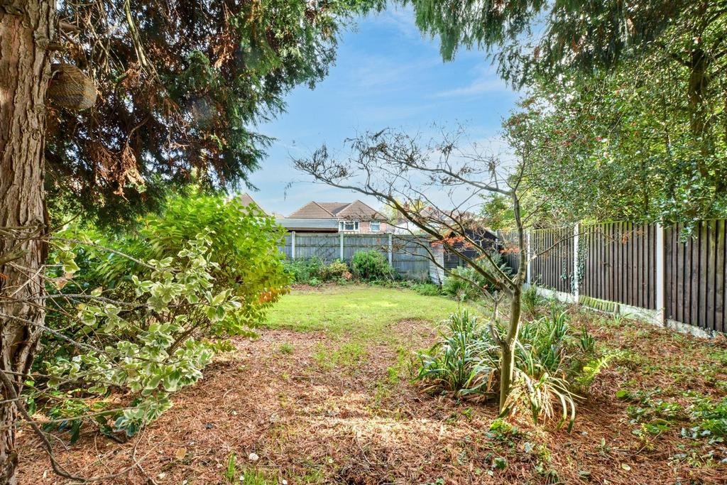Garden 4.jpeg