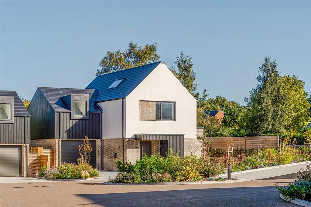Sandpiper close-2.jpg