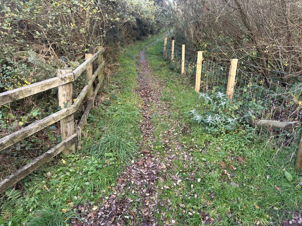 Lot 3 Footpath 2