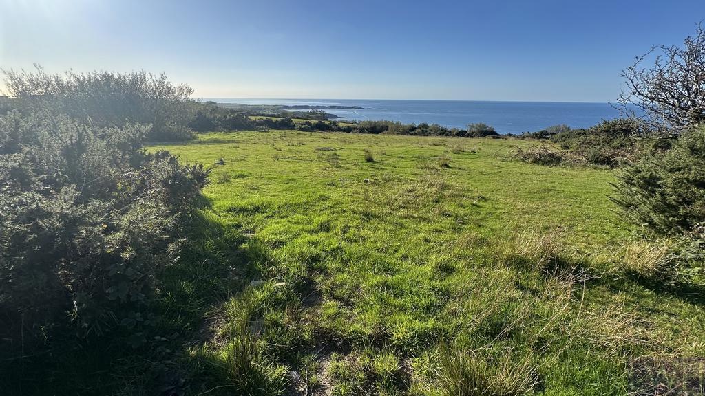 Land & View
