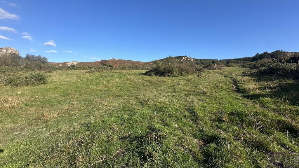 Land