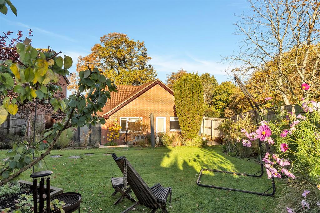Back garden