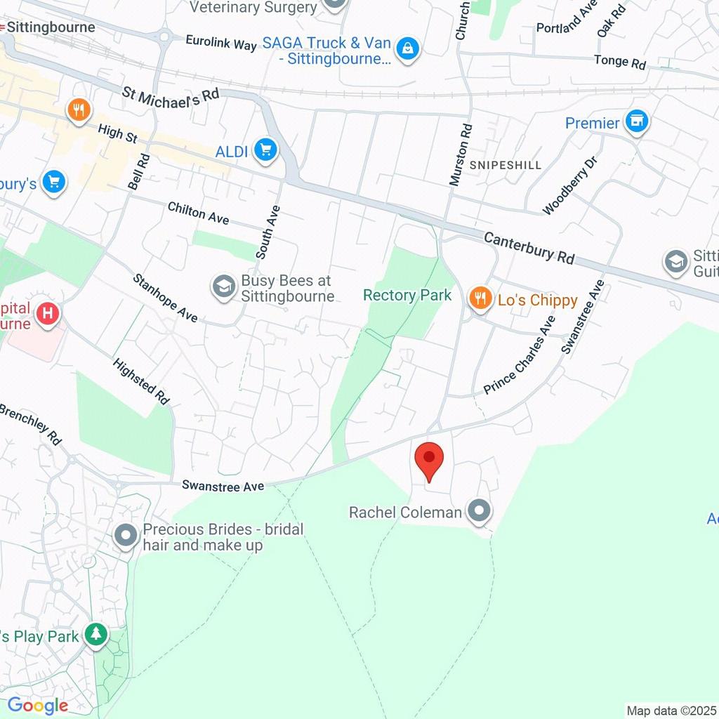 Google Maps Image