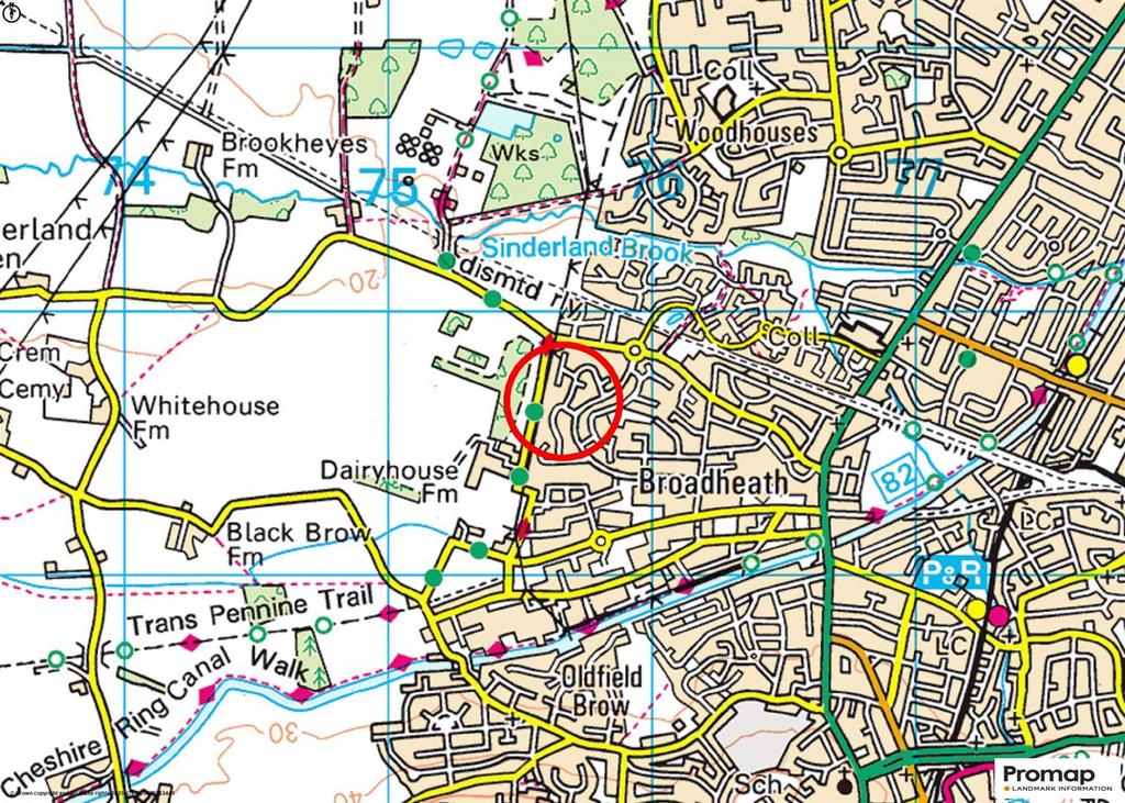Town Plan