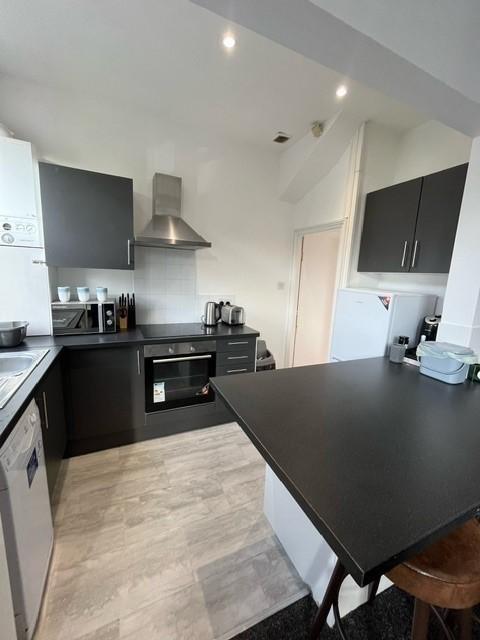 Modern kitchen with sleek dark cabinets and a s...