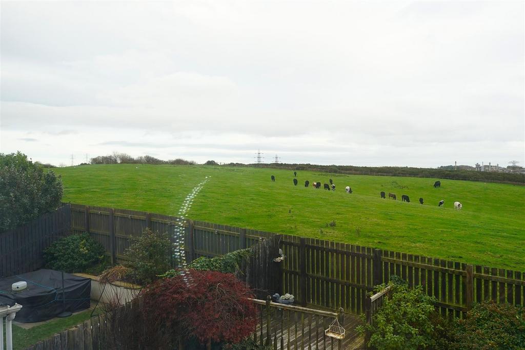 Dsc05597.jpg