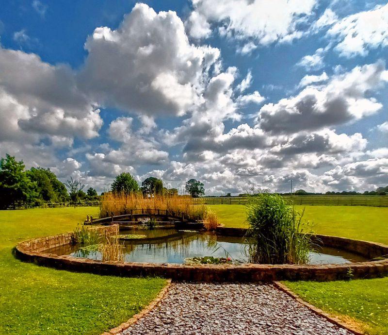 Pond