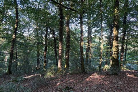 undefined, Dolton, Devon EX19
