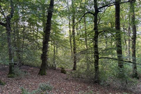 undefined, Dolton, Devon EX19