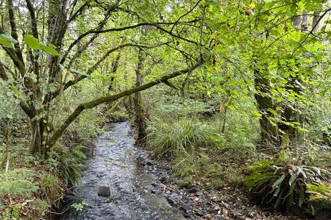 undefined, Dolton, Devon EX19