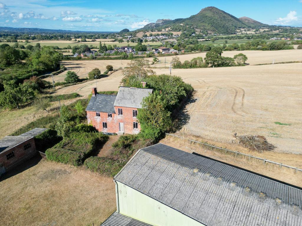 Lot 1