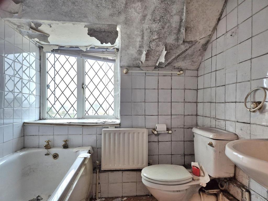 20251029 085921 resized.jpg