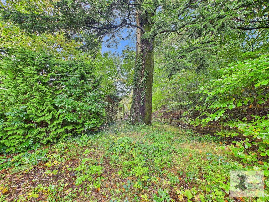 Cottage garden area