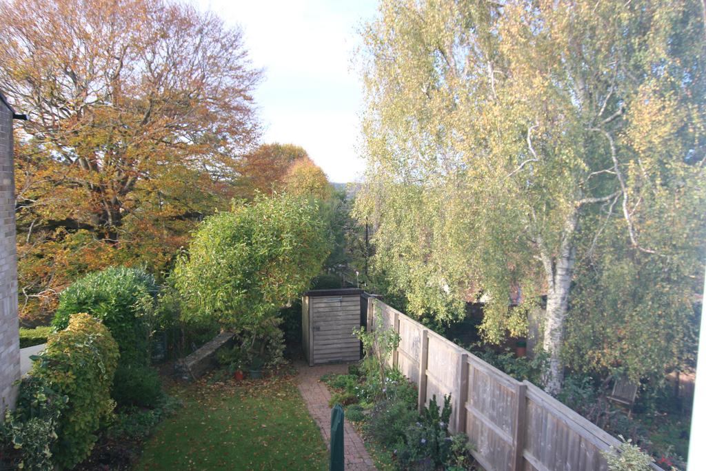 Rear Outlook