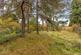 Additional image 12 of Danesbury Park Road, Welwyn, Hertfordshire, AL6
