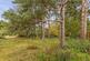 Additional image 13 of Danesbury Park Road, Welwyn, Hertfordshire, AL6