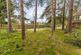 Additional image 14 of Danesbury Park Road, Welwyn, Hertfordshire, AL6