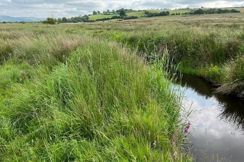 undefined, Pontrhydfendigaid, Tregaron, SY25