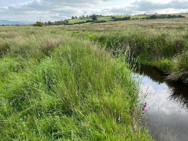 Frontage and intersected by Commddwr River