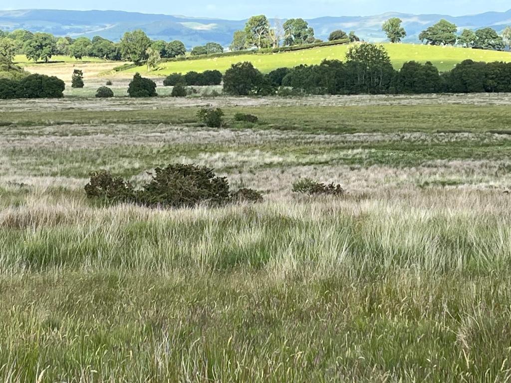 Land looking North