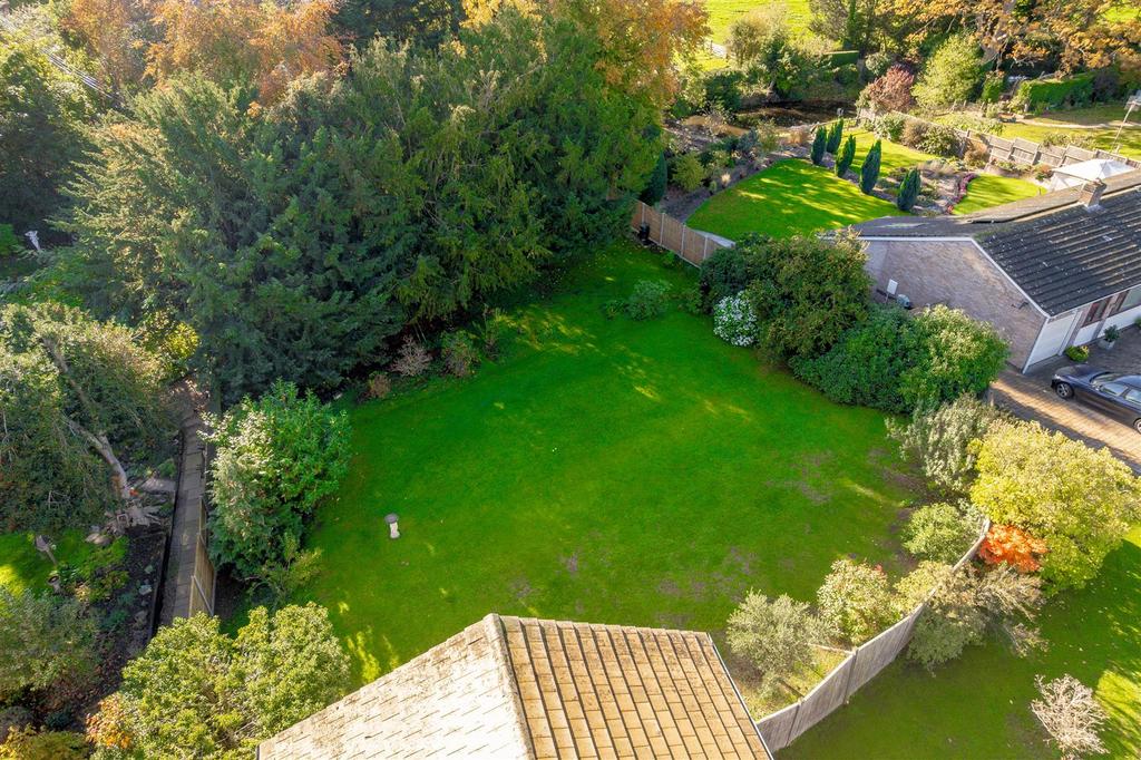 DJI 0619.jpg