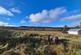 Building Plot at 8 Blackhill, Edinbane, Isle of Skye, IV51 9PW