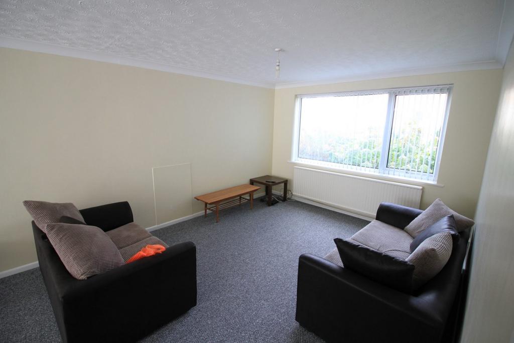 Living room 1.1