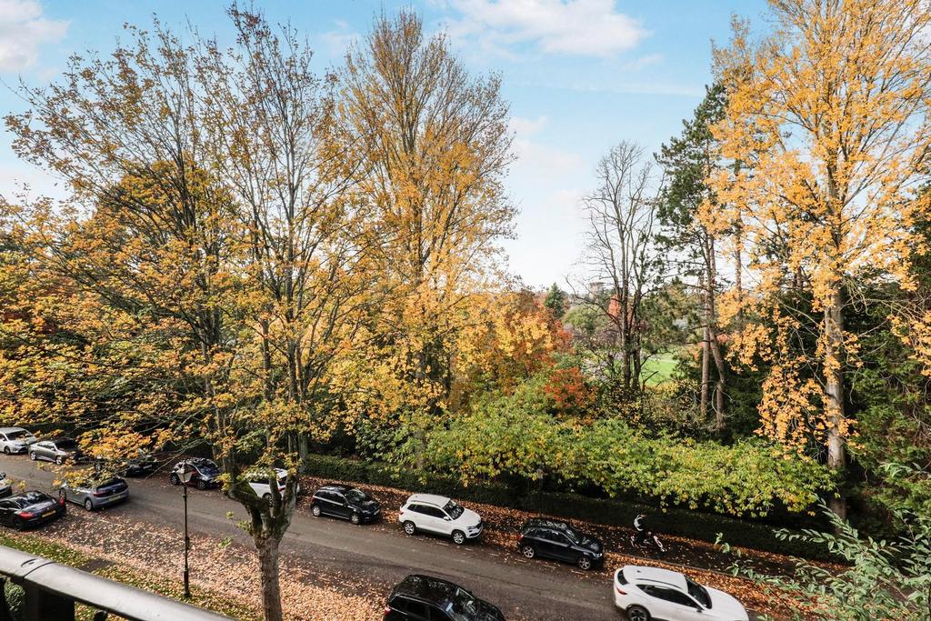 q0a5961.jpg