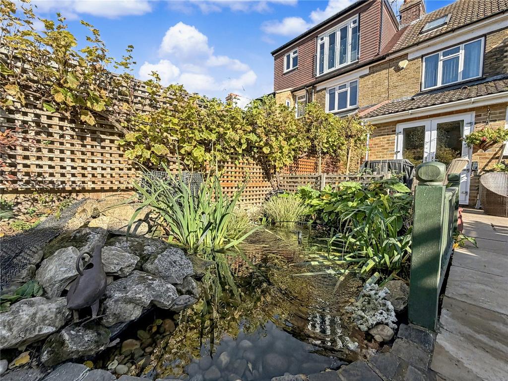 Pond