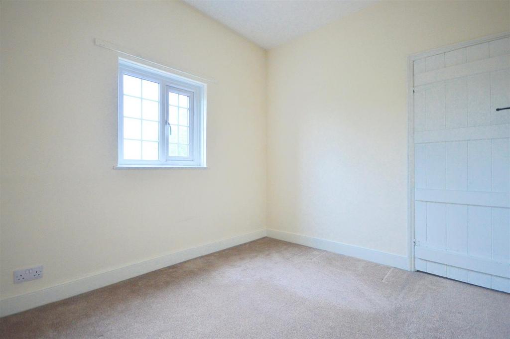 17.jpeg