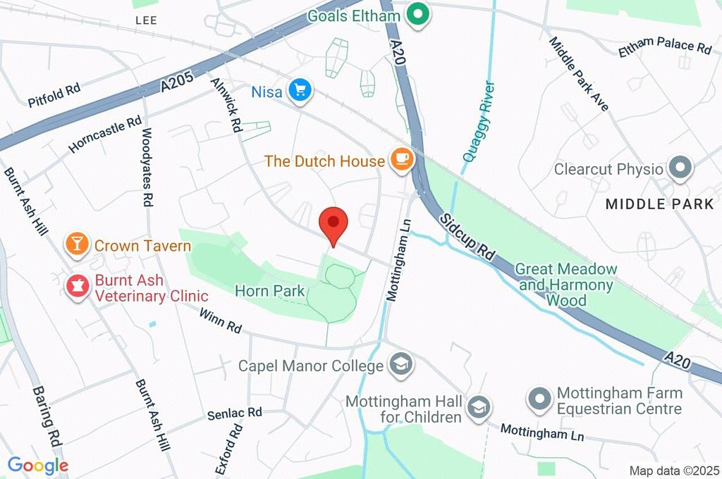 Google Maps Image