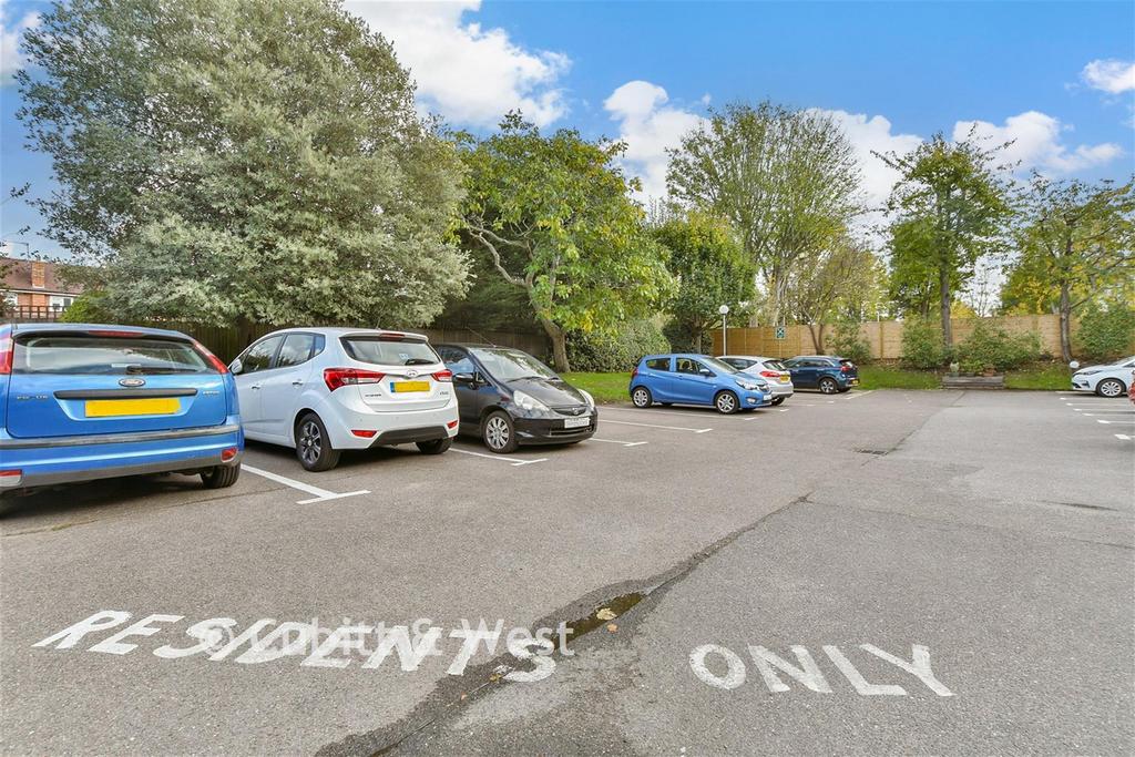 Driveway/Parking