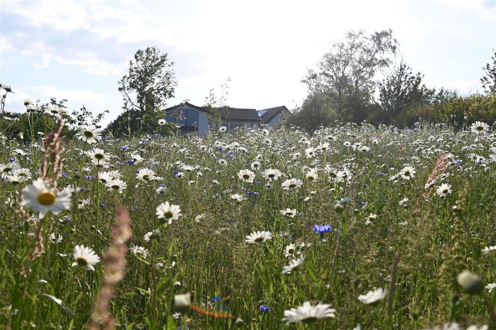 Dsc 9866.jpg