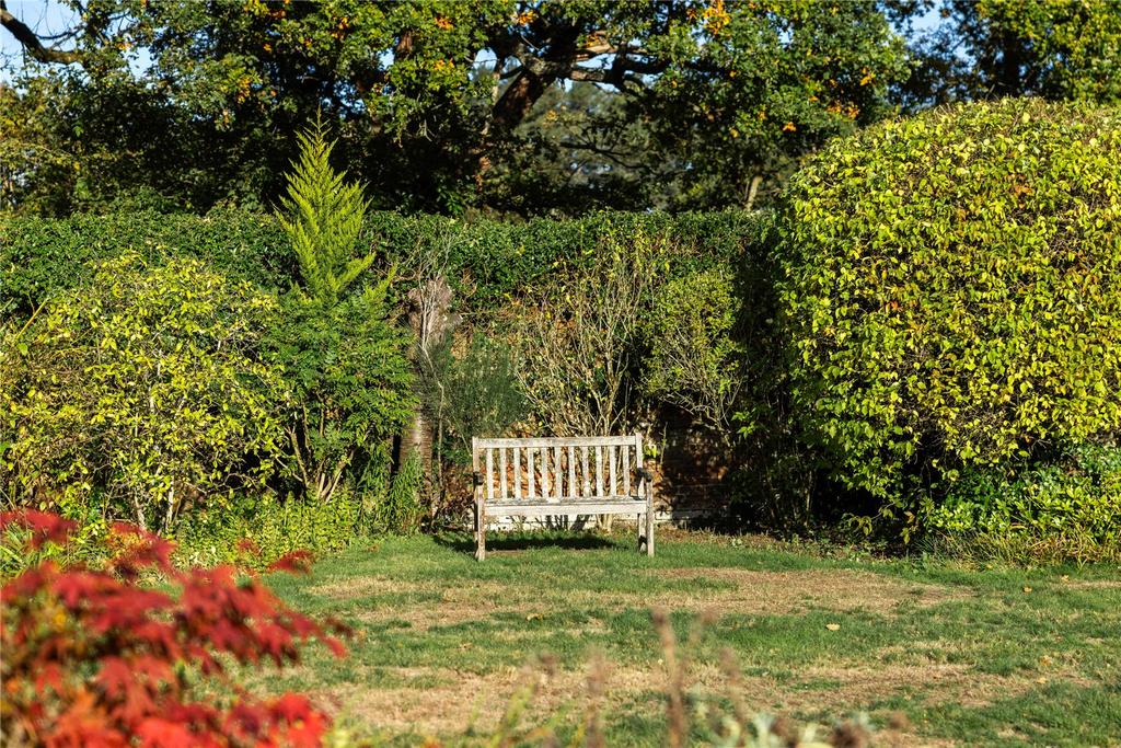 Mature Garden