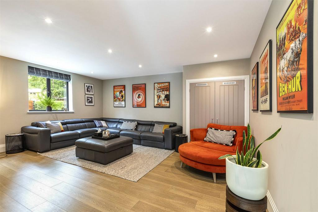 Family Room/Cinema