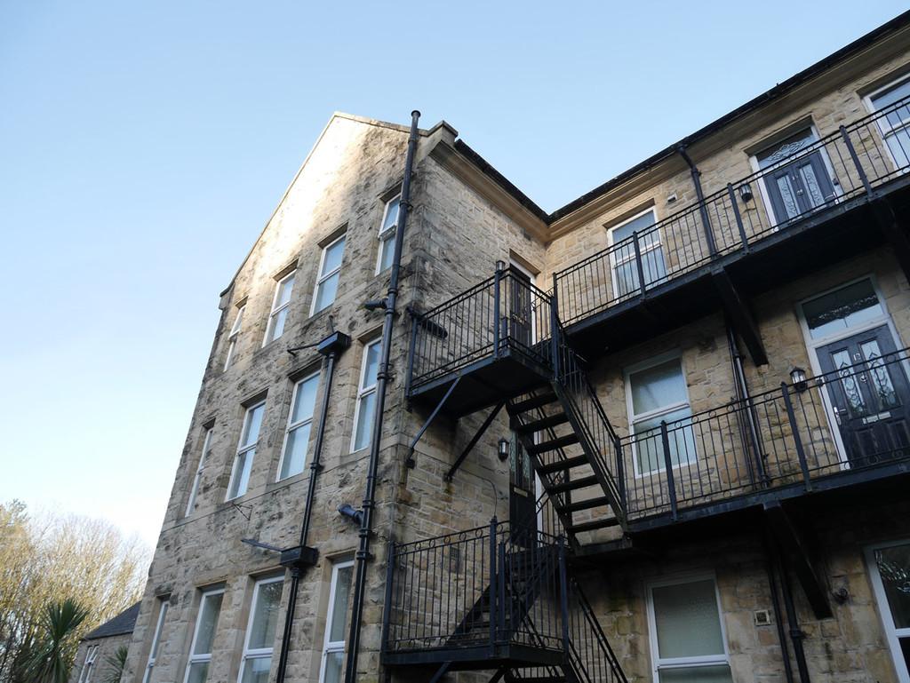 Rear Elevation