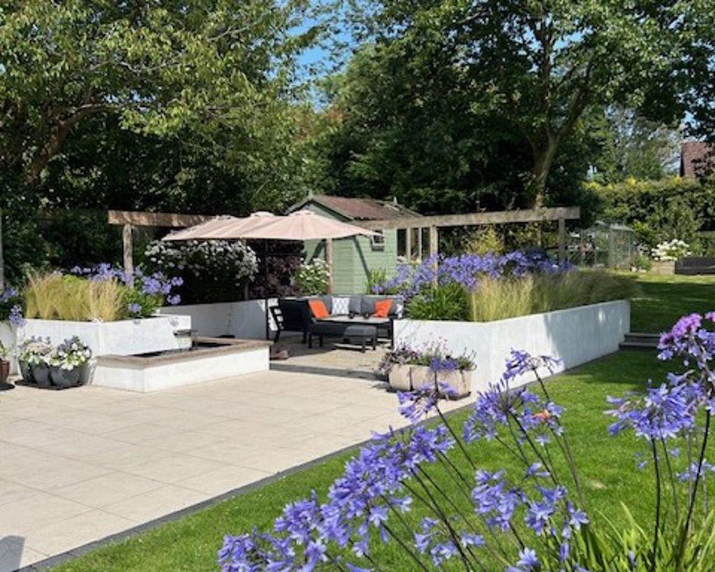 Garden in summer