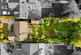 Additional image 3 of The Meadows, Prescot L35