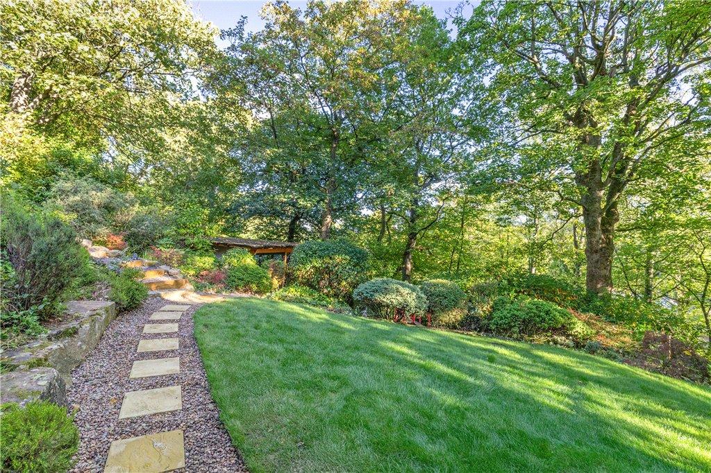 Woodland Setting