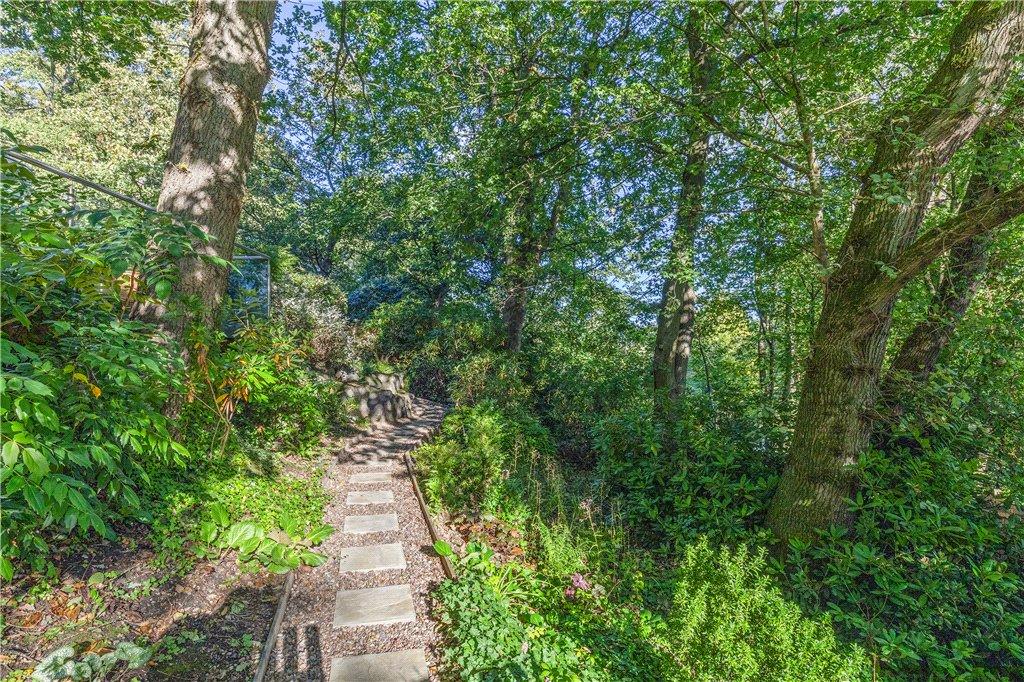 Woodland Walks