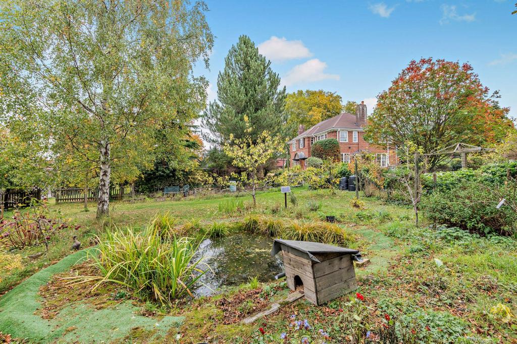 Pond