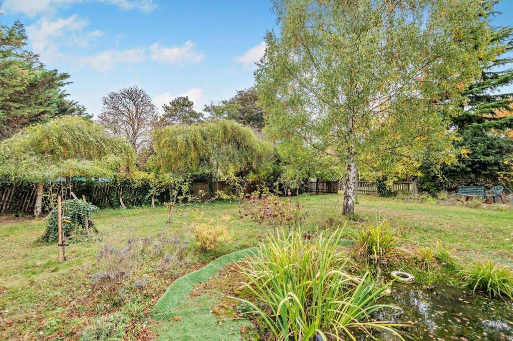 Pond