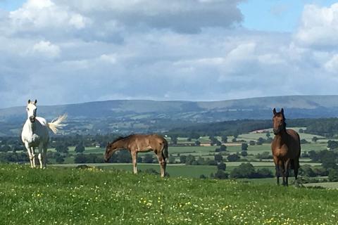 undefined, PRIVATE SALE - Monmouthshire.